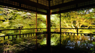 夏の京都を満喫！法観寺・三千院・瑠璃光院を巡る古都genic⛩な1泊2日旅ガイド🎐