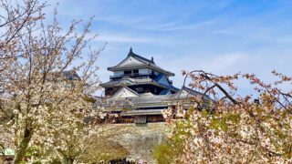 日本最古の温泉？！道後温泉♨と松山城の桜🌸を巡る1泊2日おすすめモデルコース②
